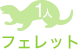 フェレット