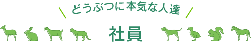 どうぶつに本気な人達 社員