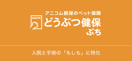 どうぶつ健保 ぷち