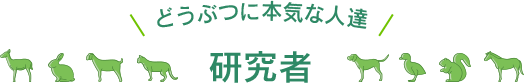 どうぶつに本気な人達 研究者