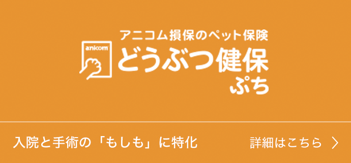 どうぶつ健保 ぷち