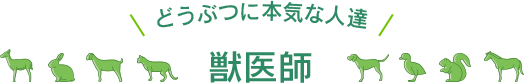 どうぶつに本気な人達 獣医師