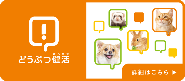 腸内フローラ測定の詳細はこちら