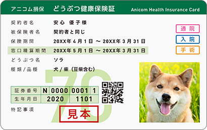 アニコム損保 どうぶつ健康保険証