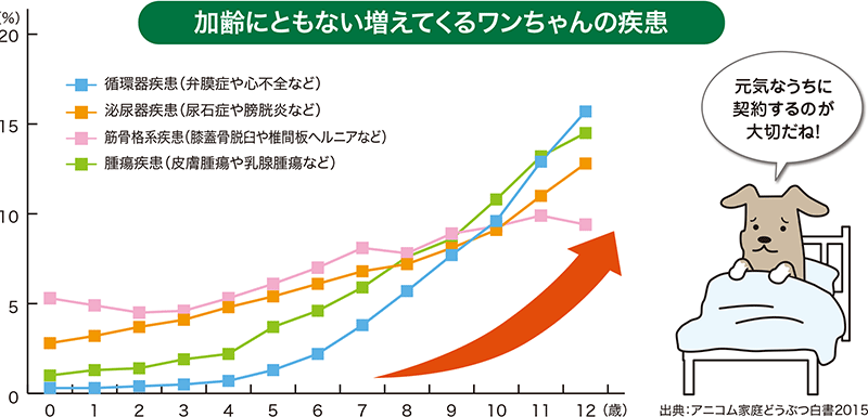 加齢にともない増えてくるワンちゃんの疾患