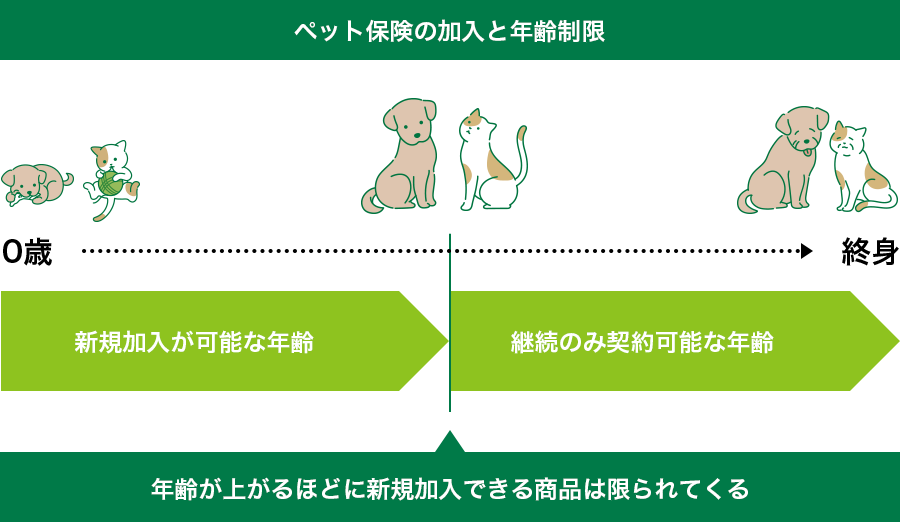 ペット保険の加入と年齢制限