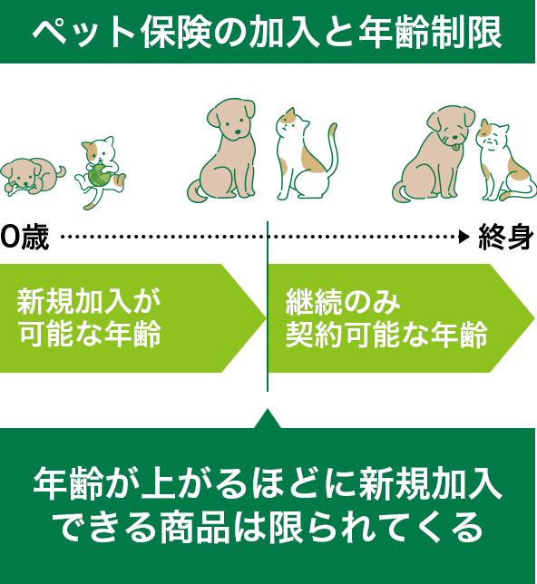 ペット保険の加入と年齢制限