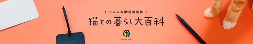 〈 アニコム獣医師監修 〉猫との暮らし大百科