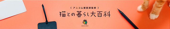 〈 アニコム獣医師監修 〉猫との暮らし大百科