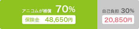 アニコムが補償70％ 保険金48,650円 自己負担30％ 20,850円