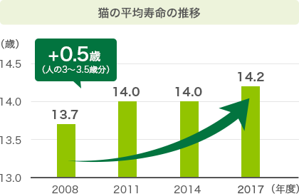 猫の平均寿命の推移 2008年度 13.7歳 2011年度 14.0歳 2014年度 14.0歳 2017年度 14.1歳