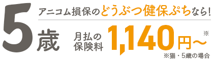 5歳月払の保険料1,140円~