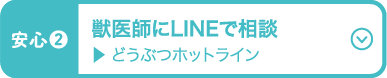 獣医師にLINEで相談 どうぶつホットライン