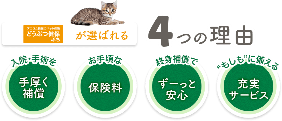 アニコム損保のペット保険 どうぶつ健保ぷちが選ばれる4つの理由