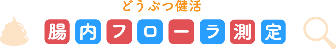 どうぶつ健活 腸内フローラ測定