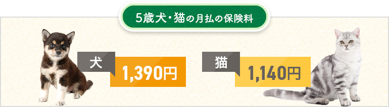 5歳犬・猫の月払の保険料