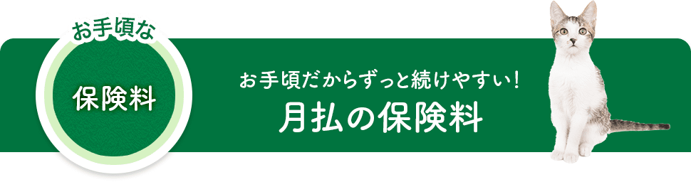 お手頃だからずっと続けやすい!月払の保険料