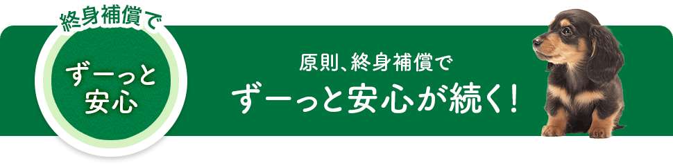 原則、終身補償でずーっと安心が続く!