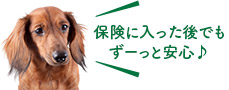 保険に入った後でも ずーっと安心♪