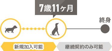 ペット保険契約には年齢制限があります!