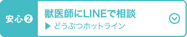 獣医師にLINEで相談 どうぶつホットライン