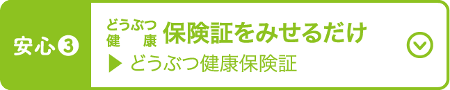 ペット保険証をみせるだけ どうぶつ健康保険証