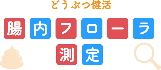 どうぶつ健活 腸内フローラ測定