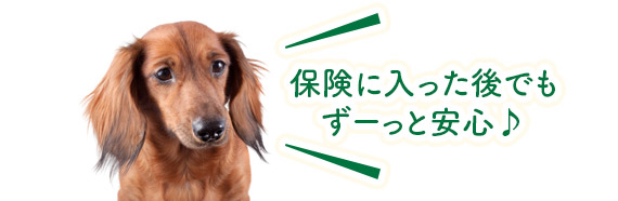 保険に入った後でも ずーっと安心♪