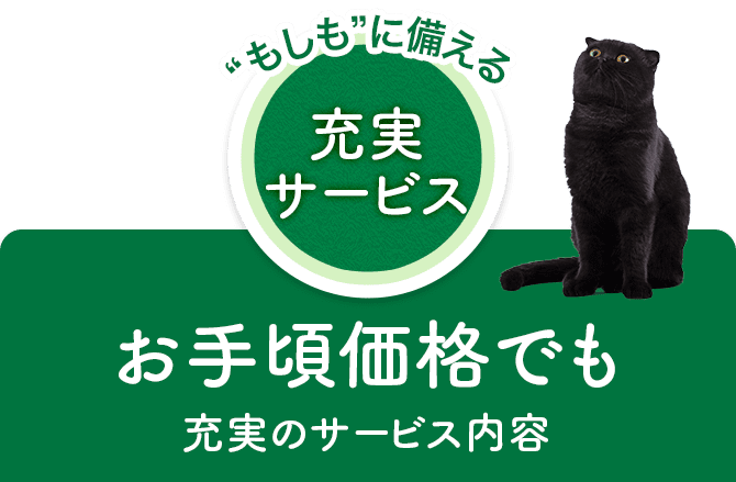 お手頃価格でも充実のサービス内容