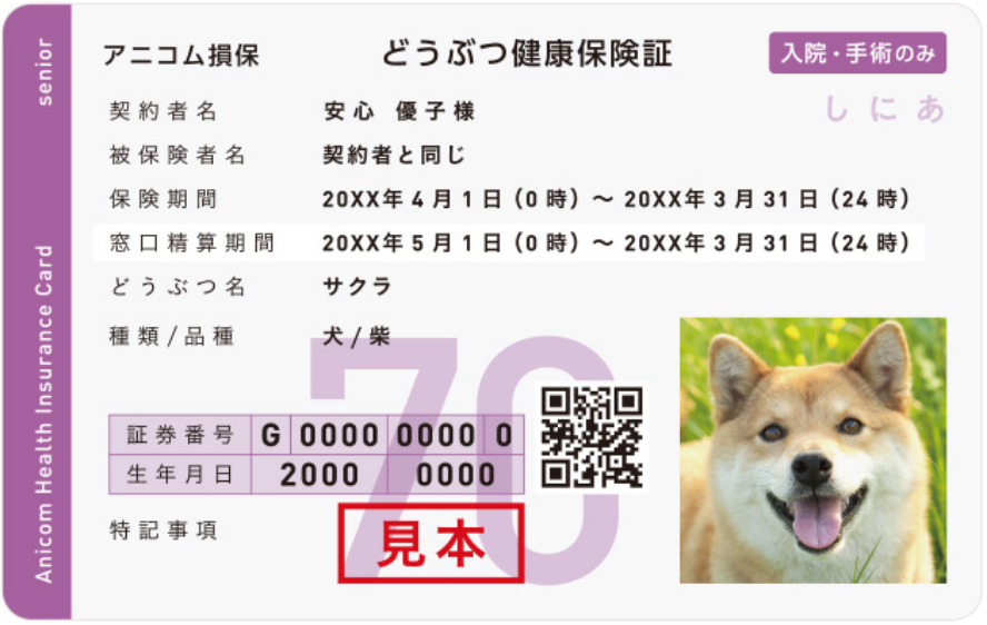 どうぶつ健康保険証