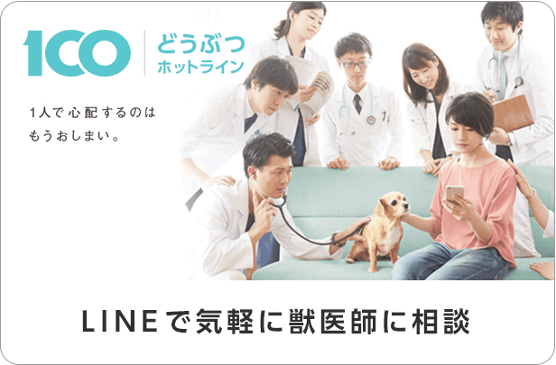 何かあったらLINEですぐに相談できる