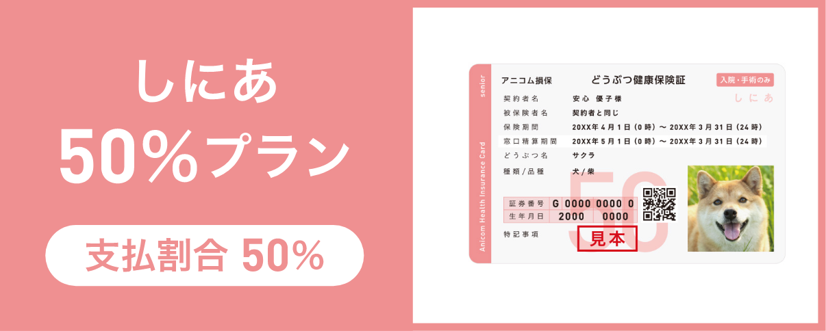しにあ50%プラン