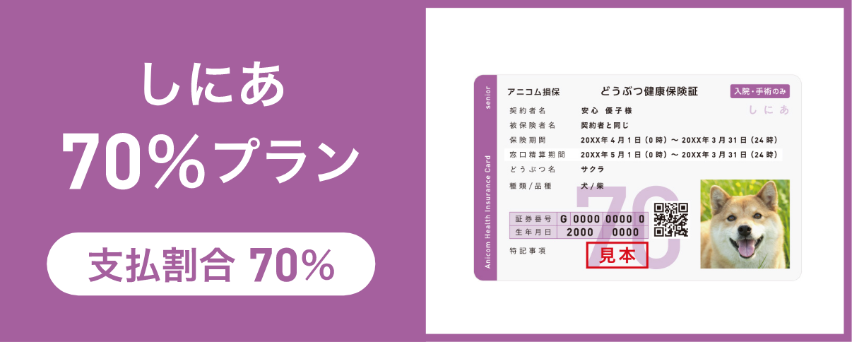 しにあ70%プラン
