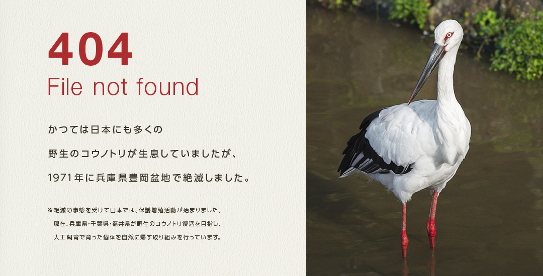 404 File not found