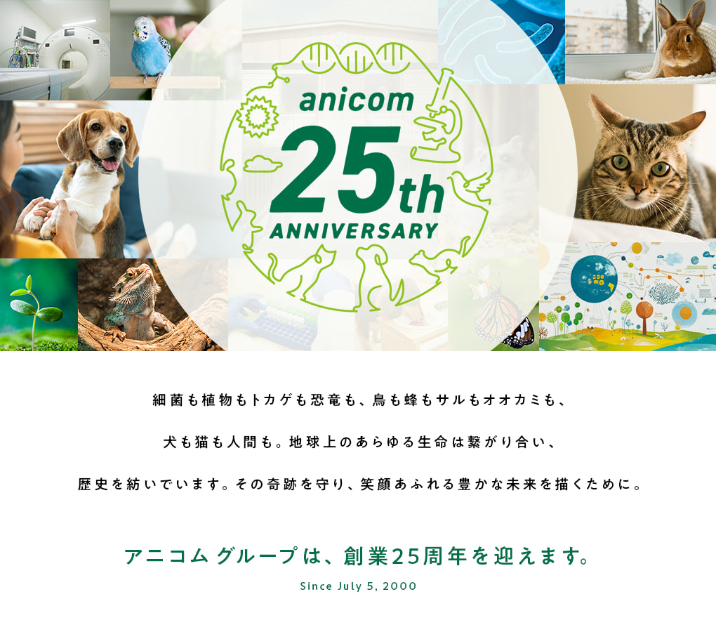 anicom 25th anniversary