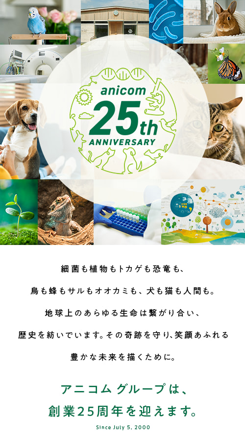 anicom 25th anniversary