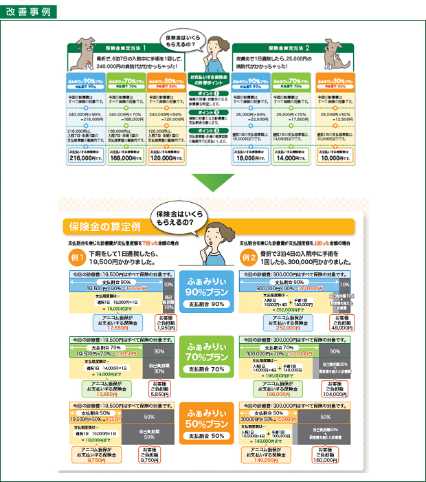 保険金算定方法の表示の改善