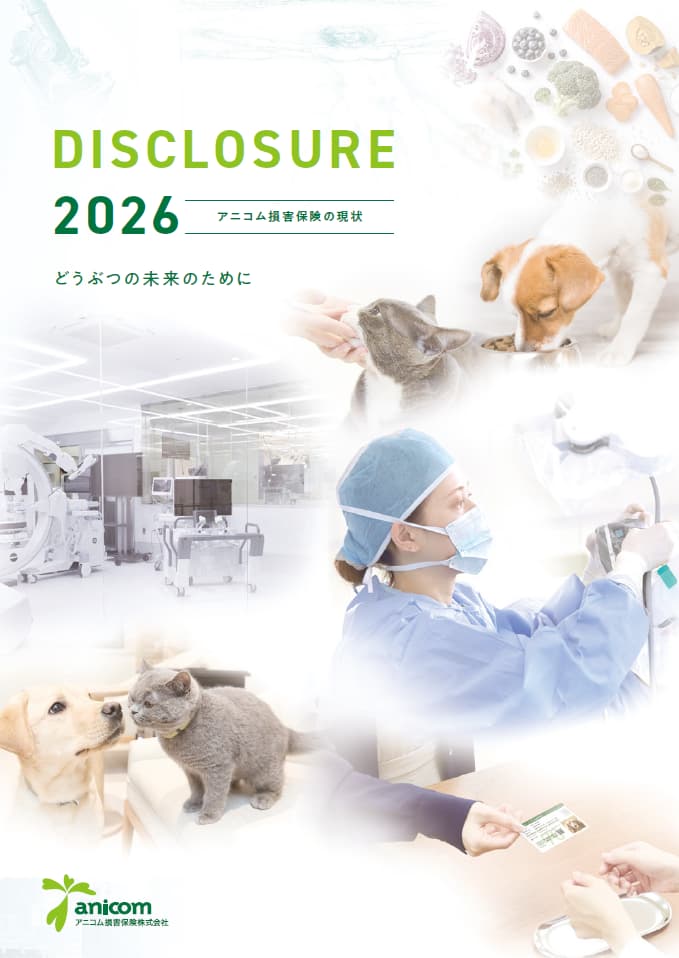 ディスクロ－ジャ－ 2026