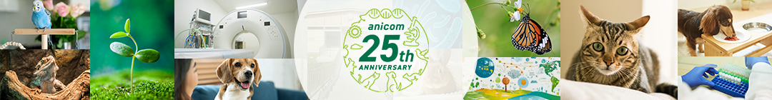 anicom 25th anniversary