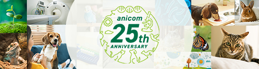 anicom 25th anniversary
