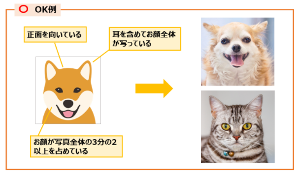 登録に適した写真の例