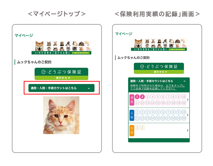 マイページトップと「保険利用実績の記録」画面