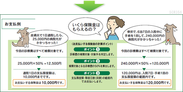 改善事例