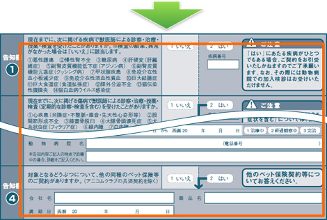 改善例