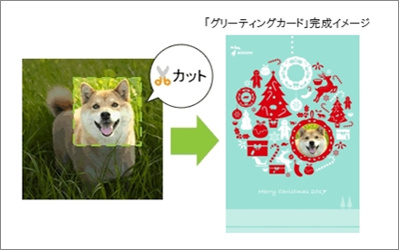 マイページでの健割判定期間表示