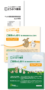 2017年10月改訂版