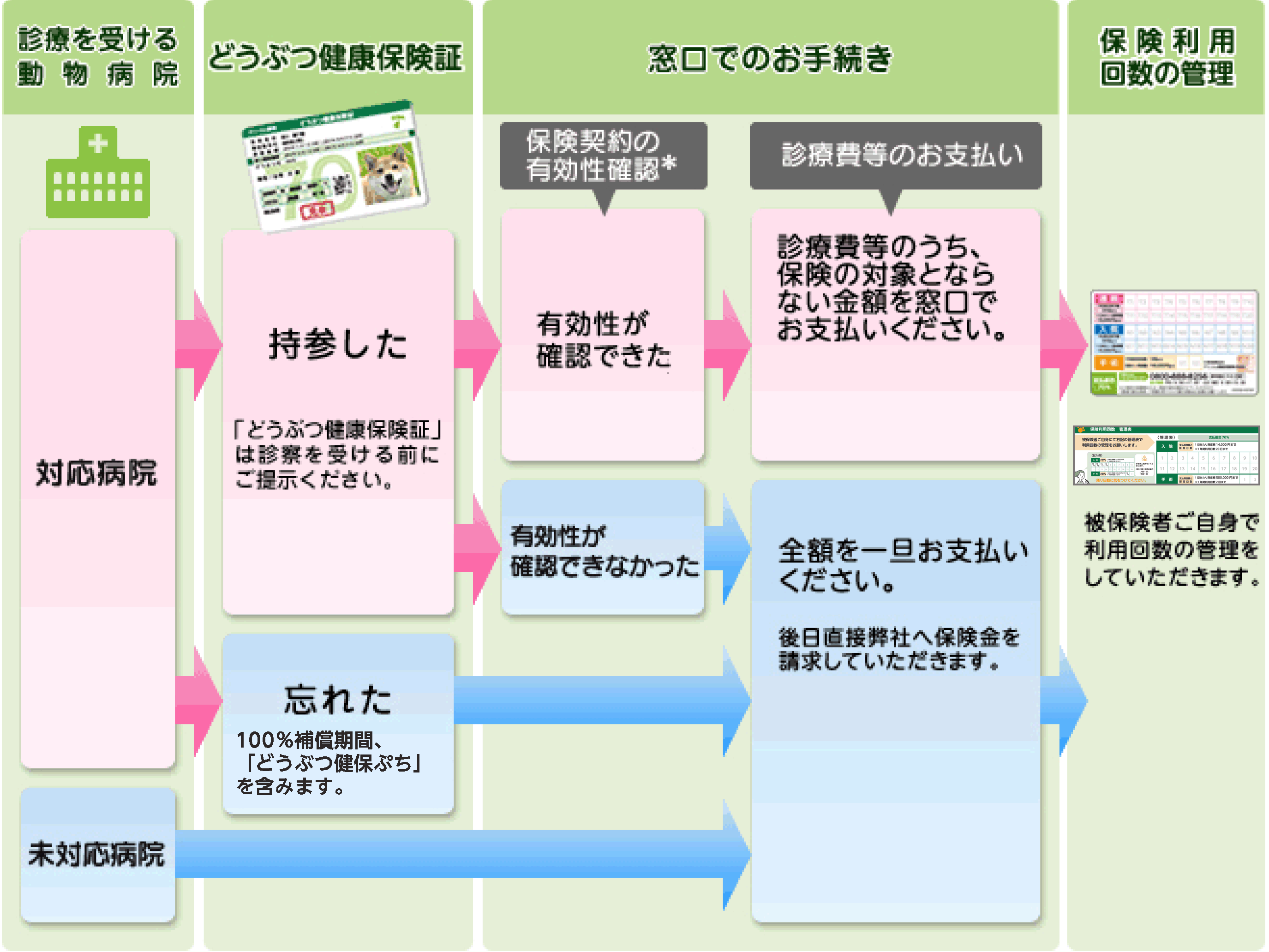 保険 アニコム ペット ペット保険どうしてますか？アニコム損保から見直ししてみました