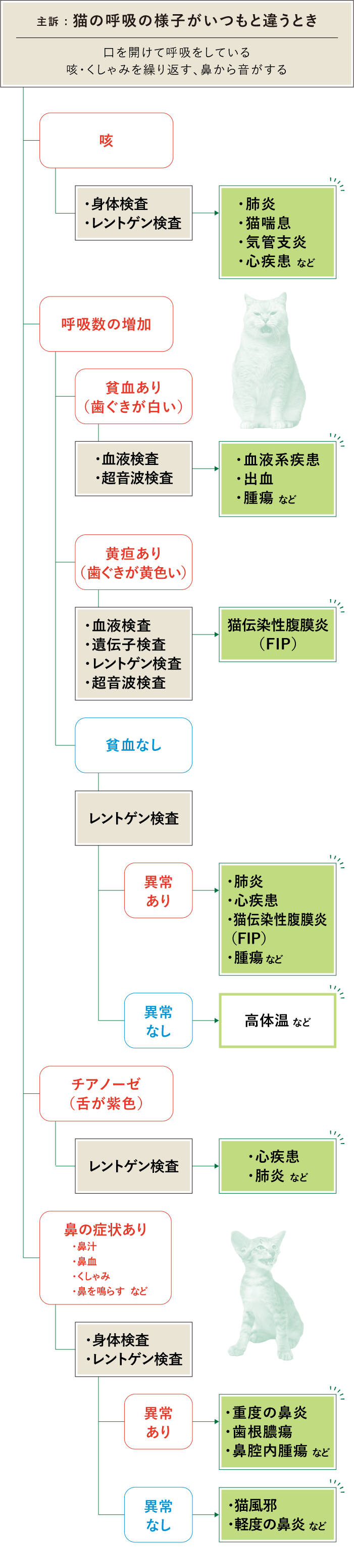 猫　呼吸　フロチャ画像