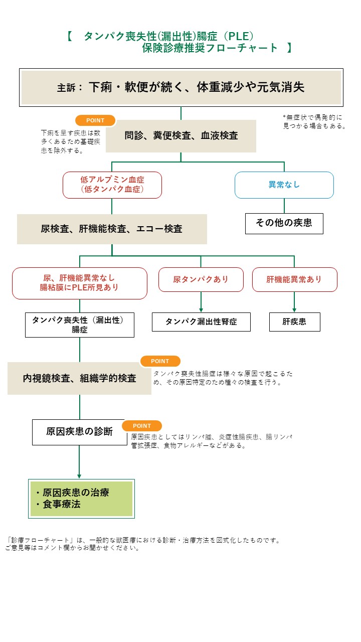 タンパク喪失性（漏出）腸症