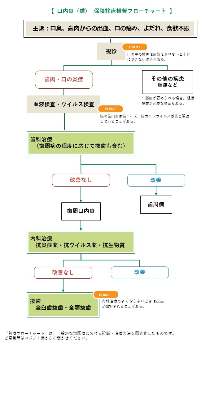 口内炎 猫 みんなのどうぶつ病気大百科